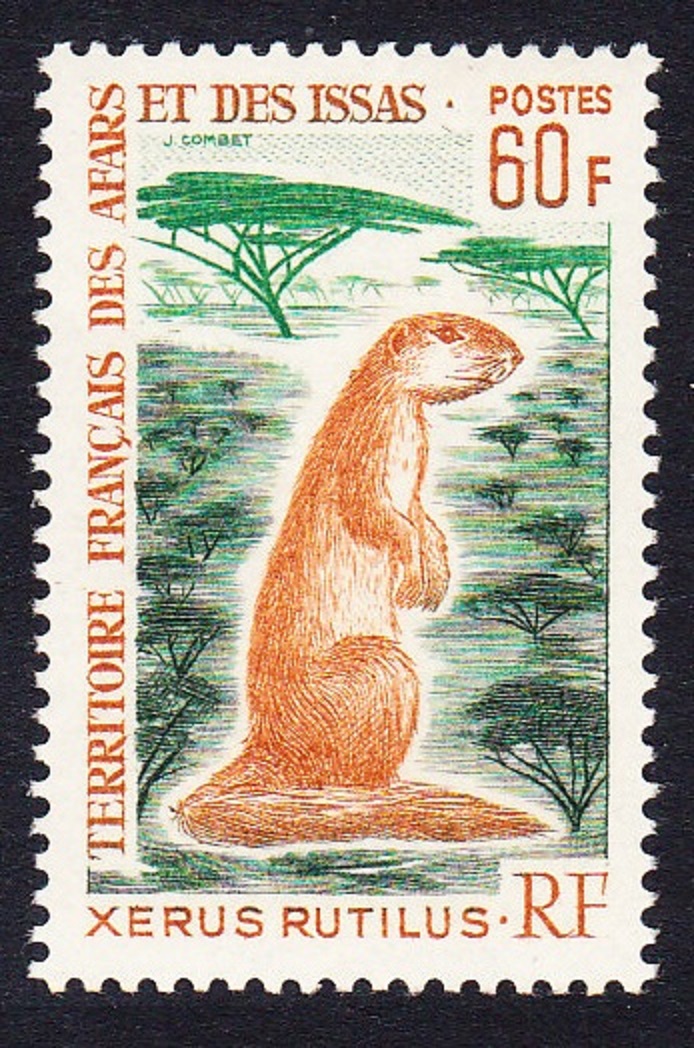 Afar and Issa Unstriped Ground Squirrel &#39;Xerus rutilus&#39; 60Fr 1967 MNH SG#508 MI#5 Sc#314