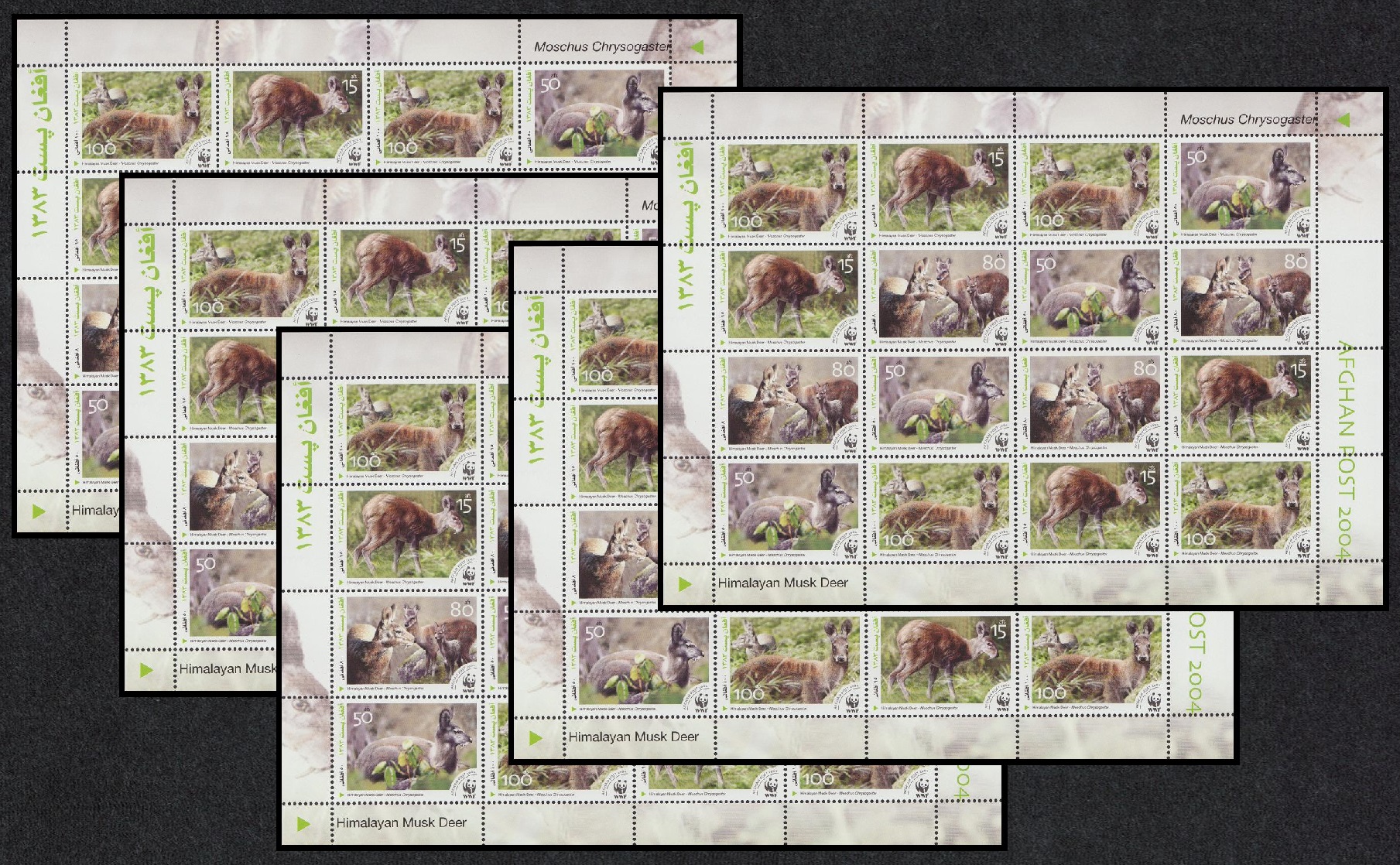 Afghanistan WWF Himalayan Musk Deer 5 Sheets [A] 2004 MNH