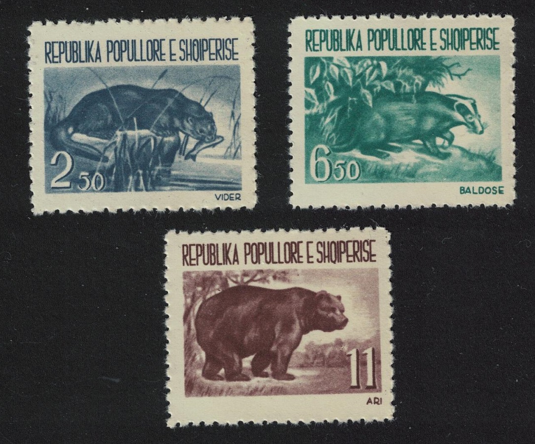 Albania Badger Bear Otter Fauna 3v 1961 MNH SG#673-675 MI#627-629 Sc#589-591