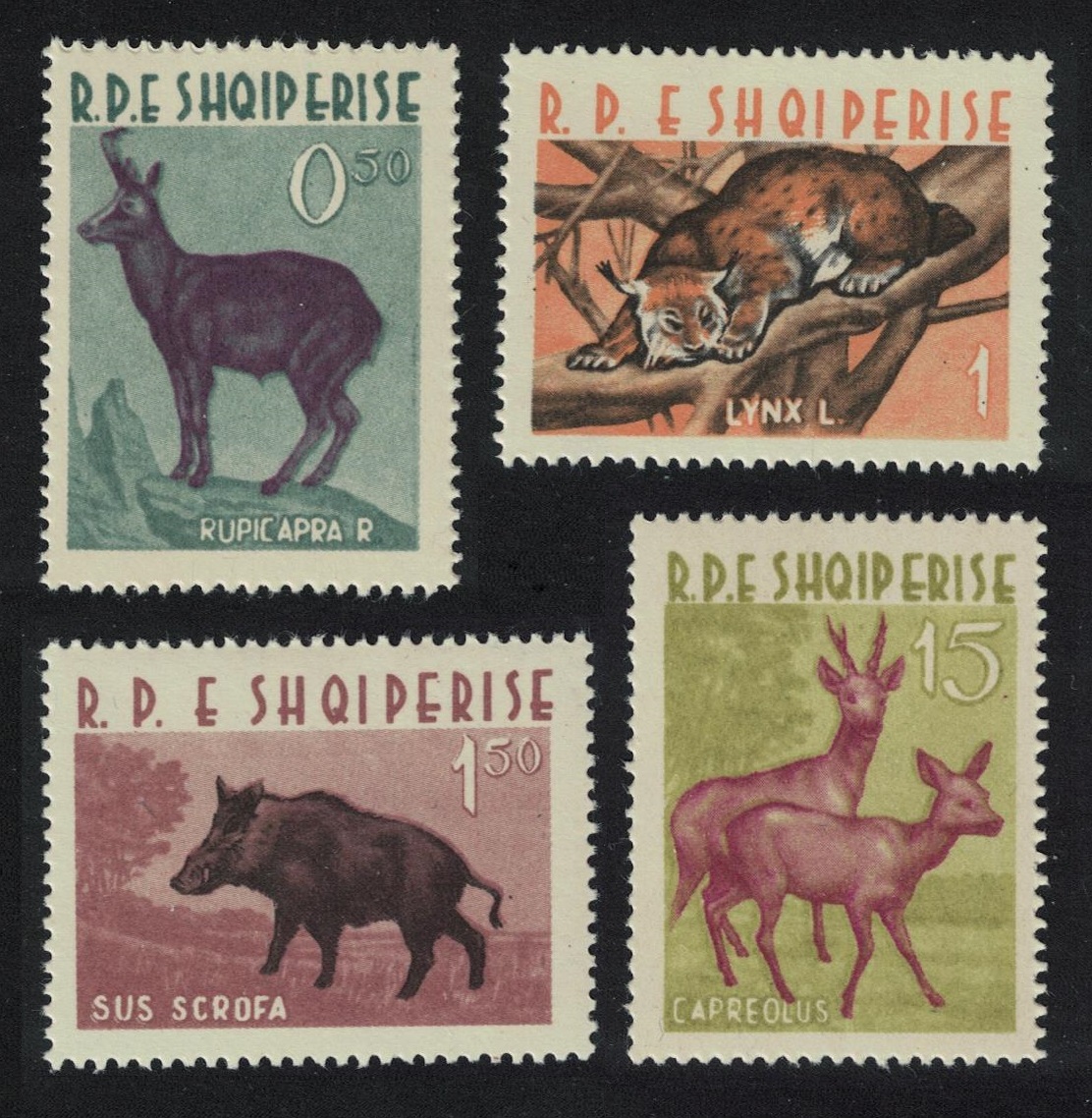 Albania Chamois Lynx Wild boar Roe deer Wild Animals Fauna 4v 1962 MNH SG#724-727