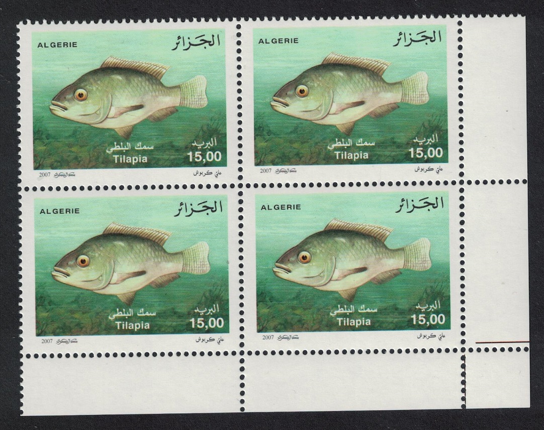 Algeria Nile Tilapia Fish Corner Block of 4 2007 MNH SG#1569