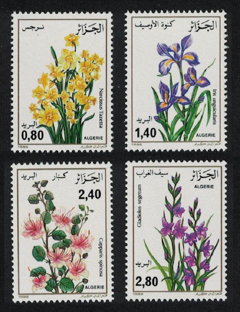 Algeria Narcissi Iris Gladiolus Flowers 4v 1986 MNH SG#941-944