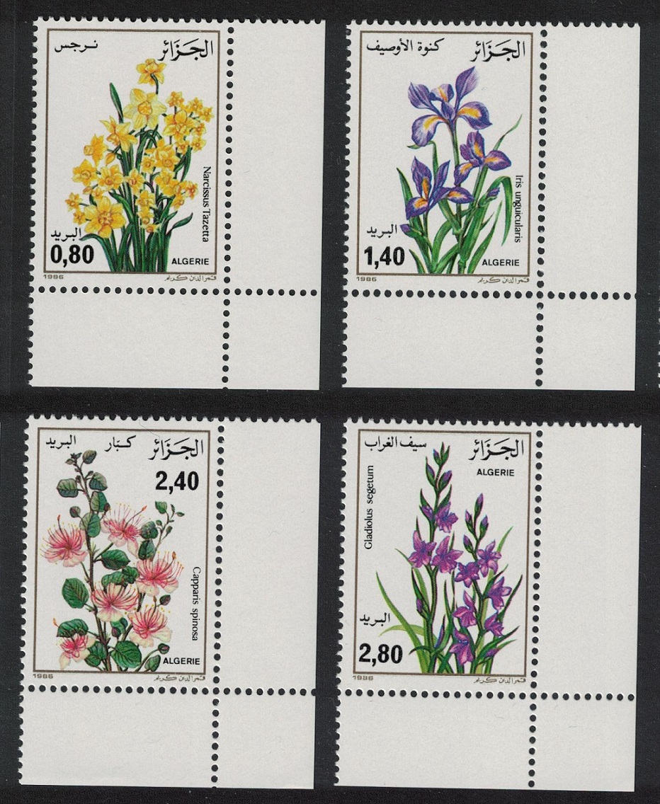 Algeria Narcissi Iris Gladiolus Flowers 4v Corners 1986 MNH SG#941-944