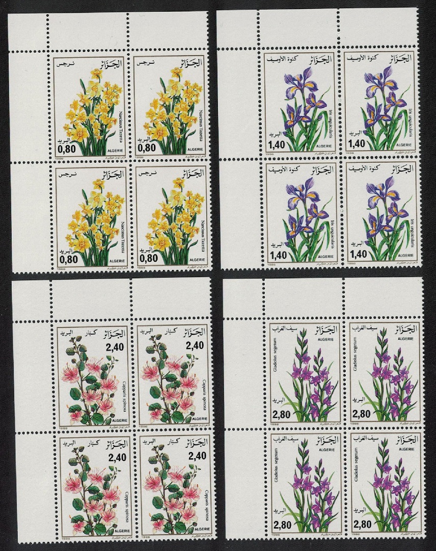 Algeria Narcissi Iris Gladiolus Flowers 4v Corner Blocks of 4 1986 MNH SG#941-944