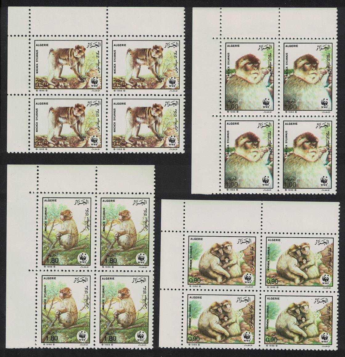 Algeria WWF Barbary Macaque 4v Corner Blocks of 4 1988 MNH SG#989-992 MI#972-975 Sc#872-875