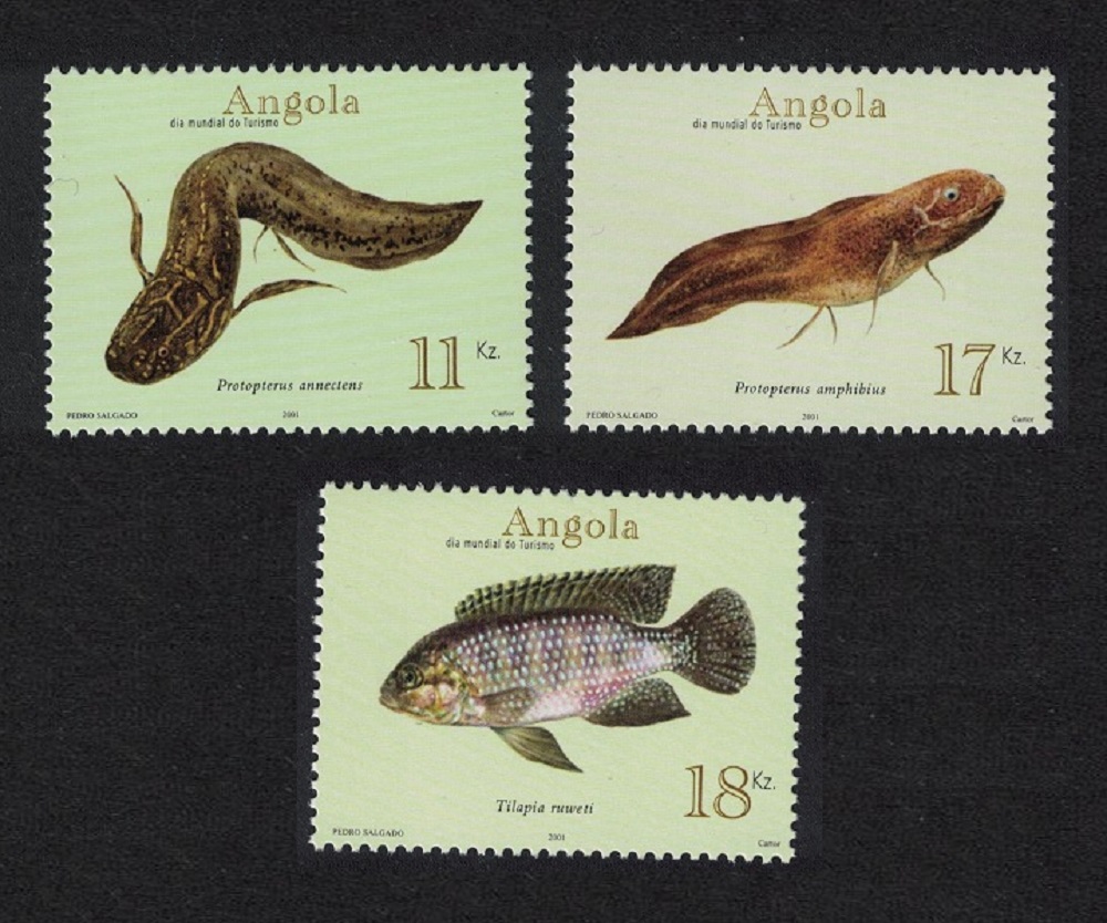 Angola Freshwater Fish 3v 2001 MNH SG#1620-1622