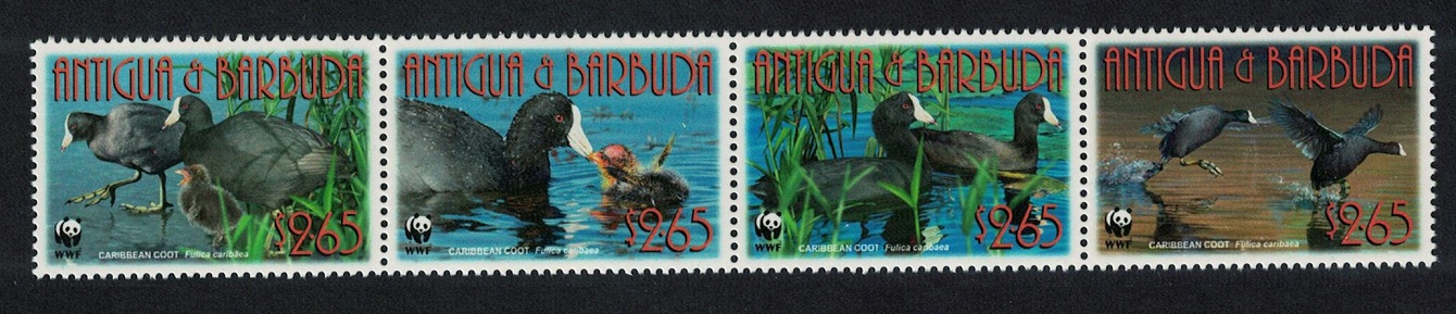 Antigua and Barbuda Birds WWF Caribbean Coot Strip of 4v 2009 MNH SG#4259-4262 MI#4702-4705 Sc#3055a-d