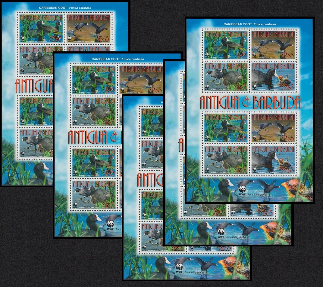 Antigua and Barbuda Birds WWF Caribbean Coot 5 MSs [A] 2009 MNH SG#MS4263 MI#4702-4705 Sc#3055a-d