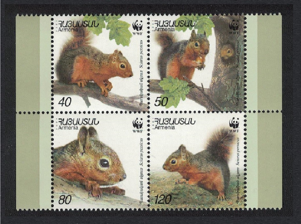 Armenia WWF Squirrel 4v Block of 4 2001 MNH SG#484-487 MI#435-438 Sc#632 a-d