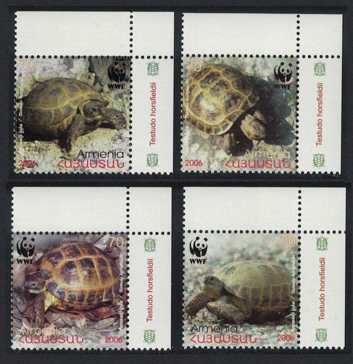 Armenia WWF Four-toed Tortoise 4v Corners 2007 MNH SG#605-608 MI#561-564 Sc#753-756