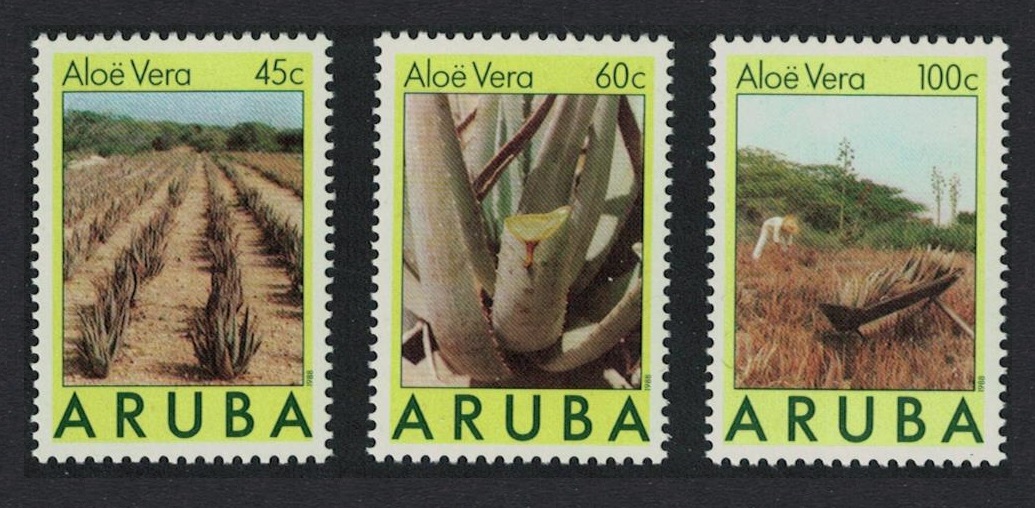 Aruba &#39;Aloe vera&#39; Medical Plant Flora 3v 1988 MNH SG#41-43