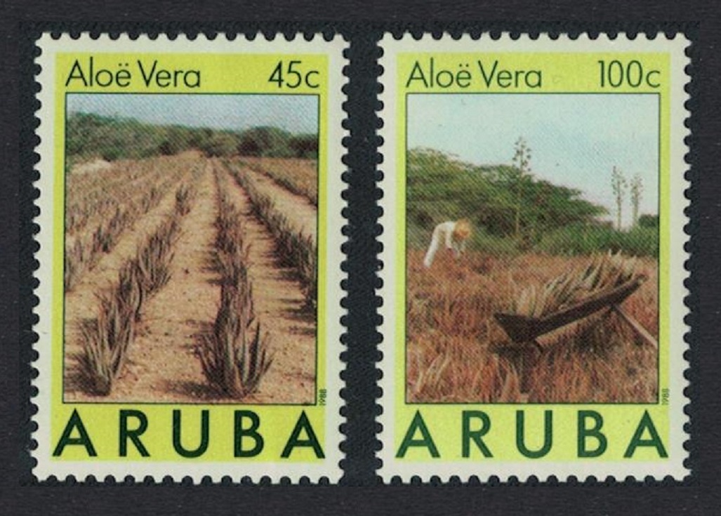 Aruba &#39;Aloe vera&#39; Medical Plant Flora 2v 1988 MNH SG#41=43