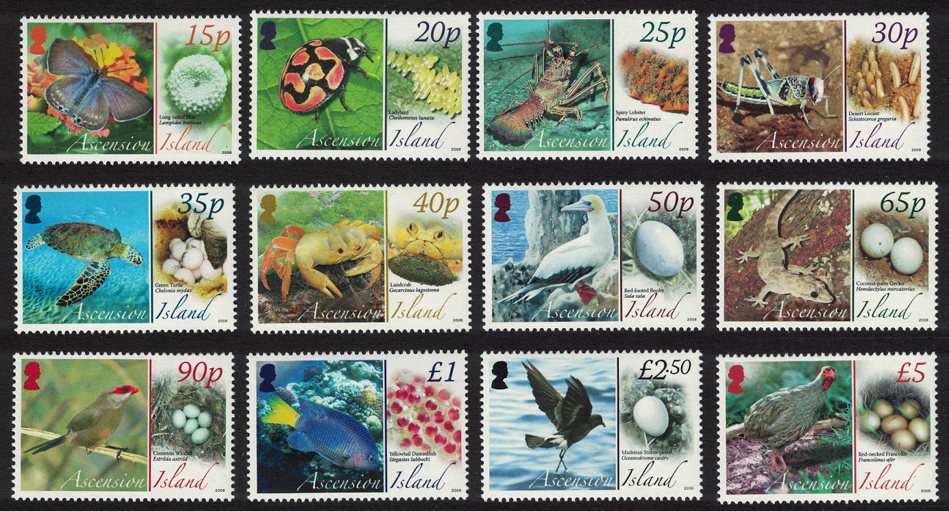 Ascension Birds Butterflies Fauna and their Eggs 12v 2007 MNH SG#987-998 MI#1021-1032