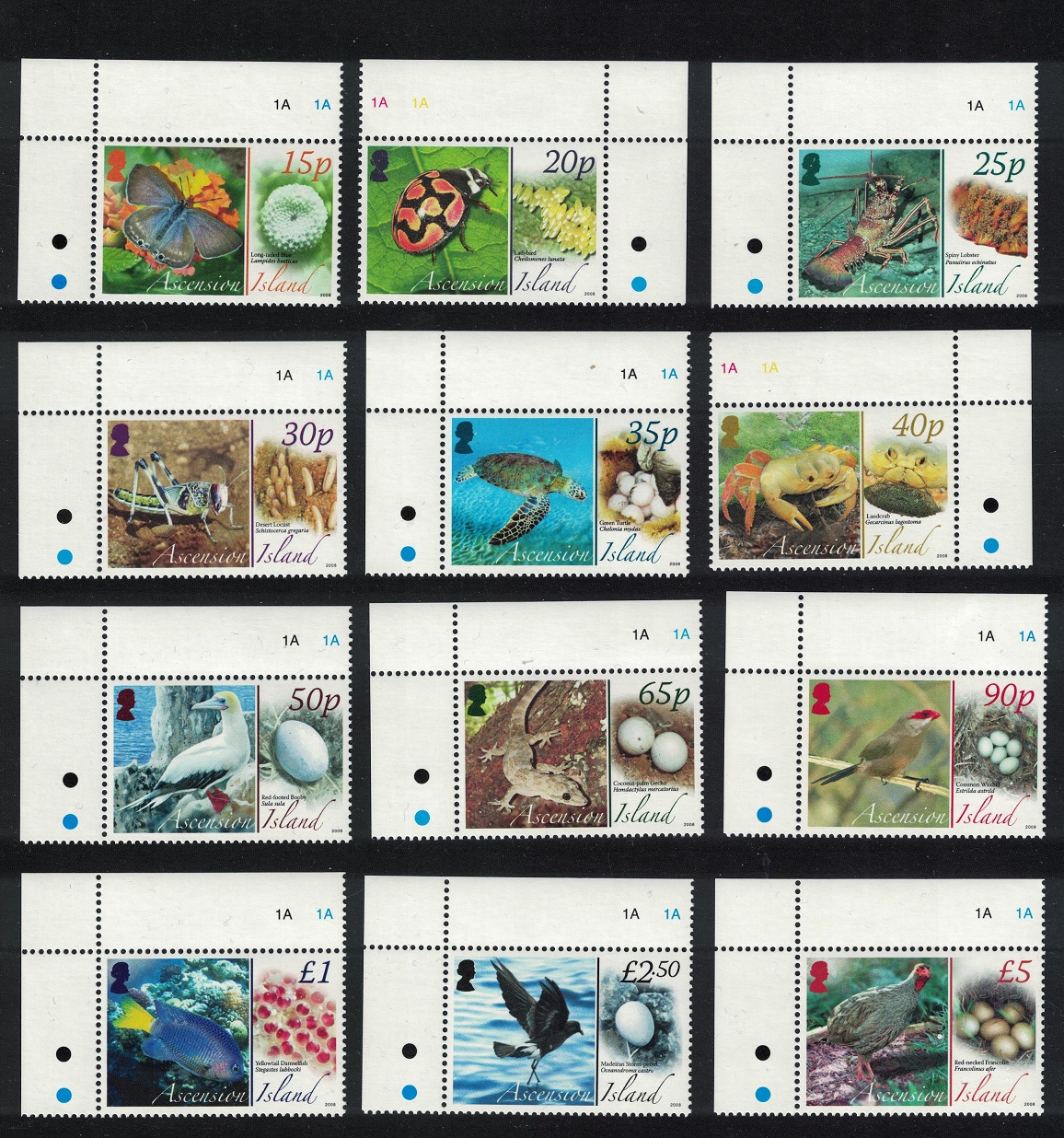 Ascension Birds Butterflies Fauna and their Eggs 12v Corners 2007 MNH SG#987-998 MI#1021-1032