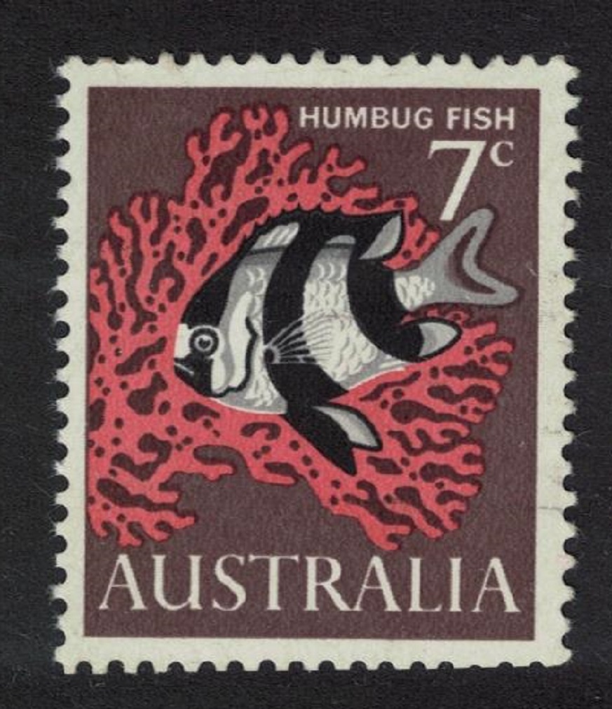 Australia White-tailed Dascyllus &#39;Humbug fish&#39; 1966 MNH SG#388