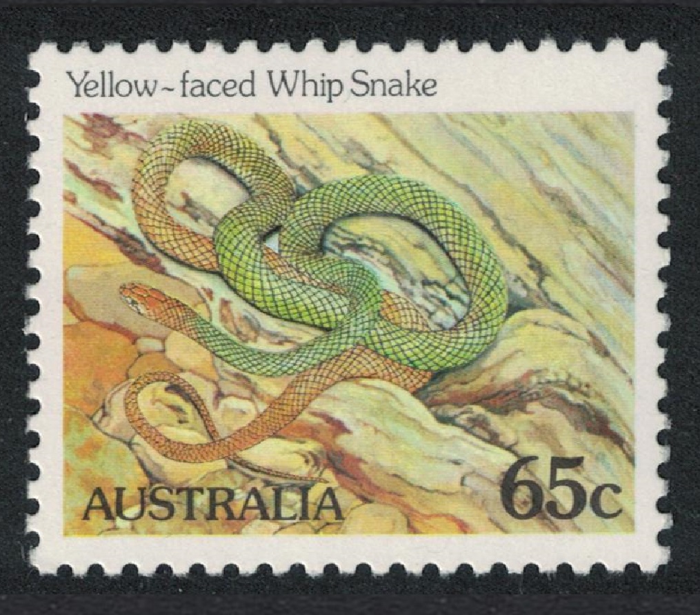 Australia Yellow-faced Whip snake 65c 1981 MNH SG#799