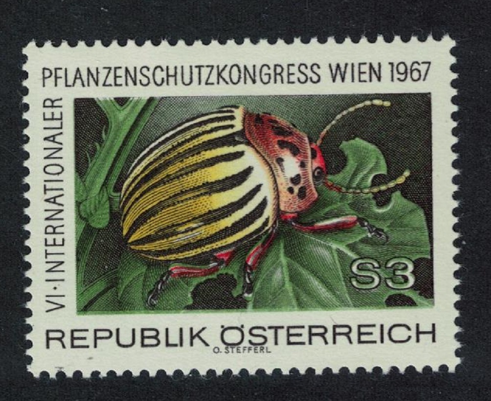 Austria Colorado Potato Beetle Insect Fauna 1967 MNH SG#1504 Sc#1434