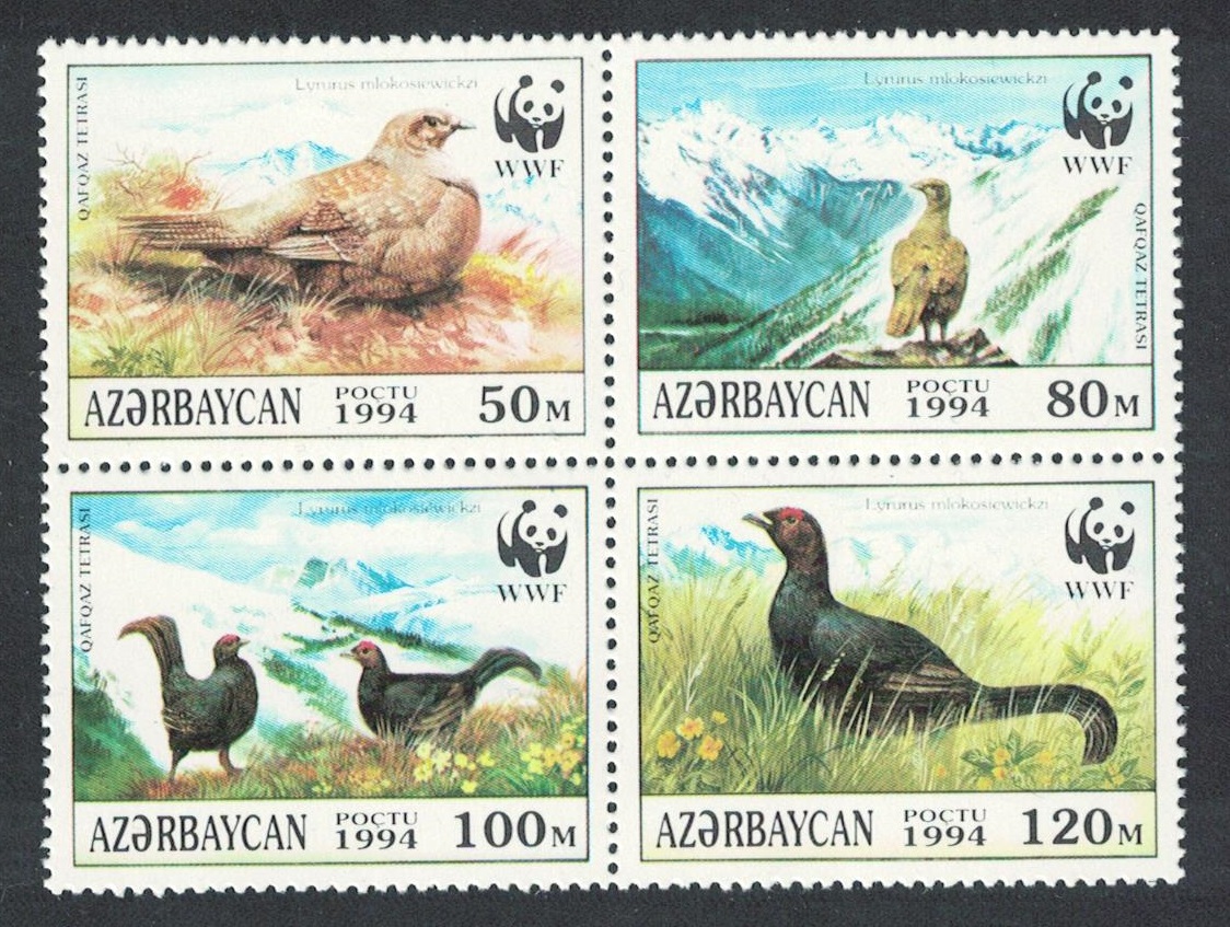 Azerbaijan Birds WWF Caucasian Black Grouse 4v Block of 4 1994 MNH SG#178-181 MI#161-164 Sc#454 a-d