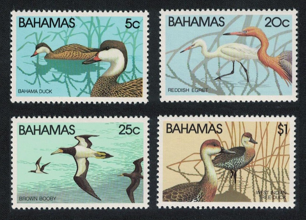 Bahamas Pintail Egret Booby Whistling Duck Birds 4v 1981 MNH SG#589-592