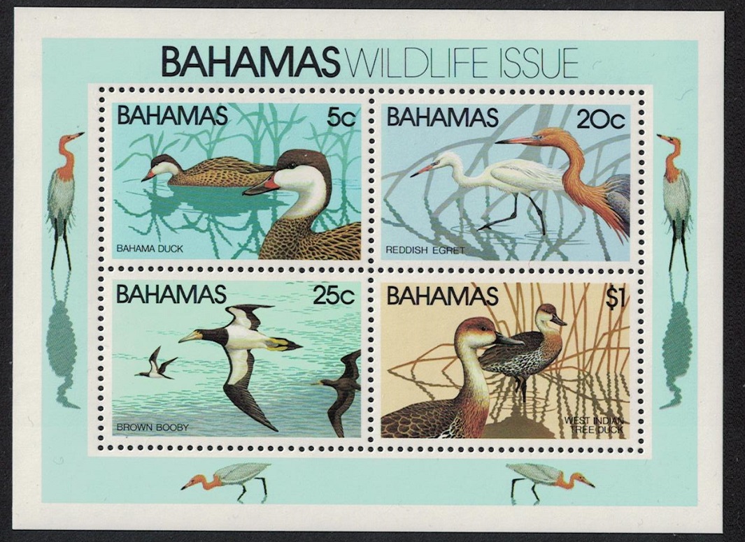 Bahamas Pintail Egret Booby Whistling Duck Birds MS 1981 MNH SG#MS593