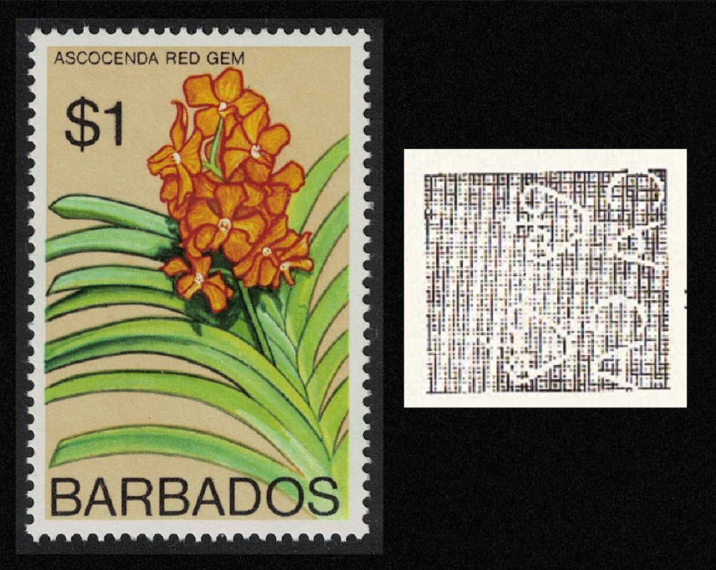 Barbados Ascocenda &#39;Red Gem&#39; Orchid $1 WMK Ww14 RAR 1975 MNH SG#521