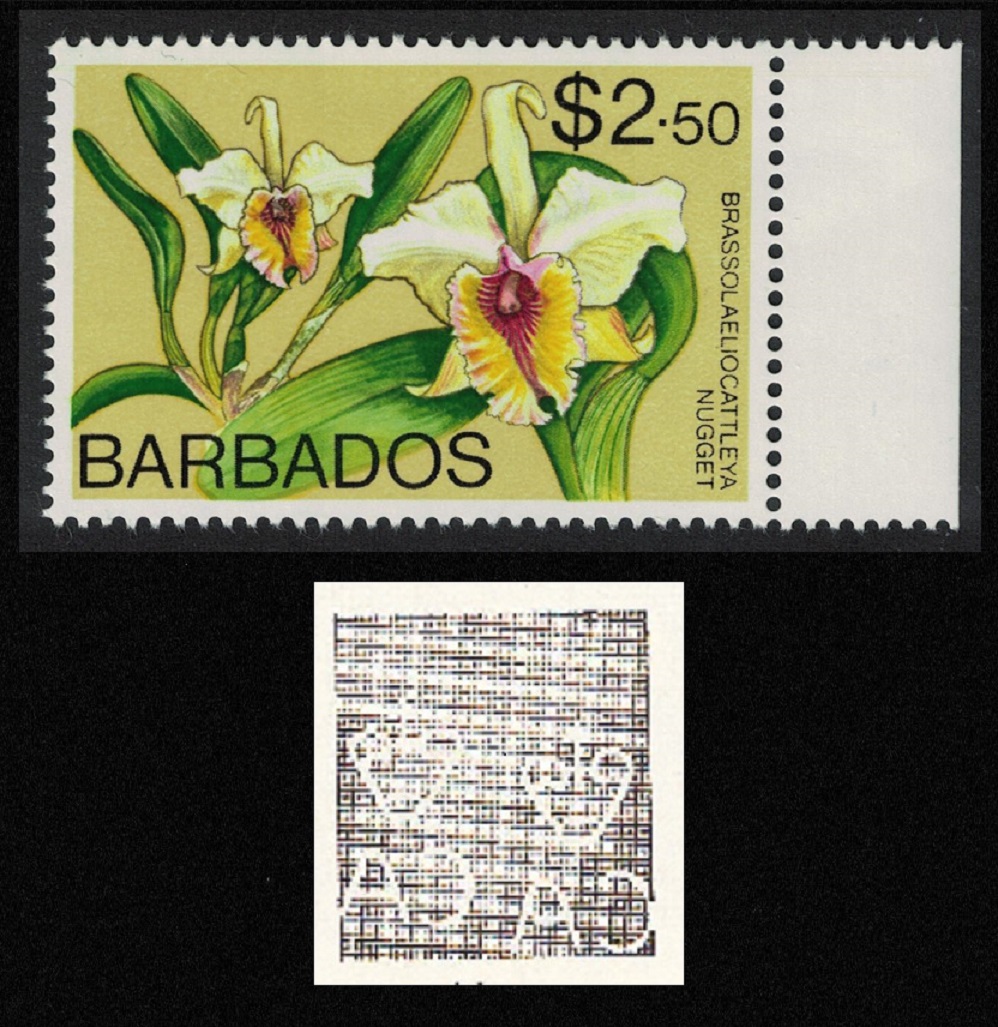 Barbados Brassolaeliocattleya &#39;Nugget&#39; Orchid $2.5 WMK Ww14 RAR 1975 MNH SG#522