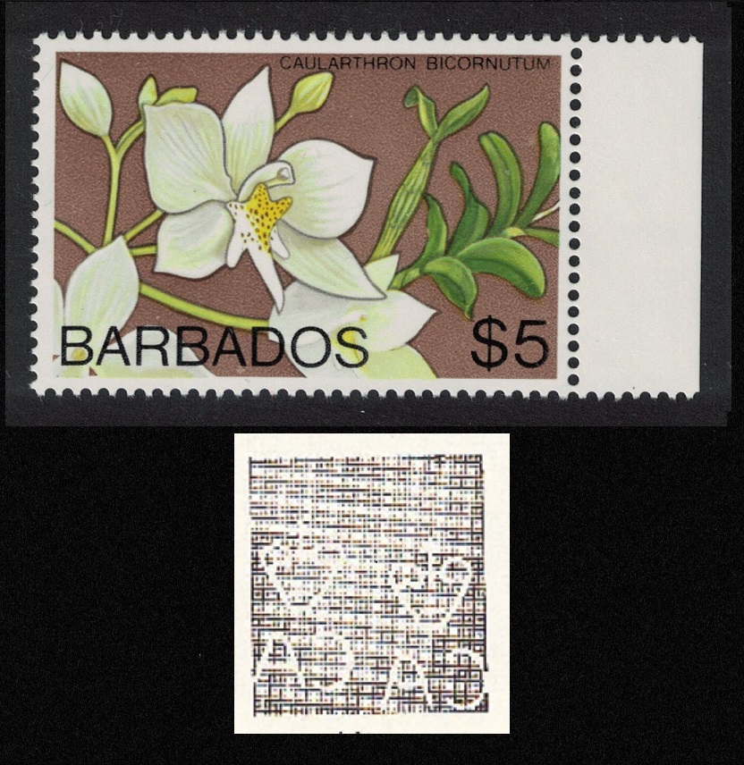 Barbados Orchid &#39;Caularthron bicornutum&#39; $5 WMK Ww14 RAR 1975 MNH SG#523