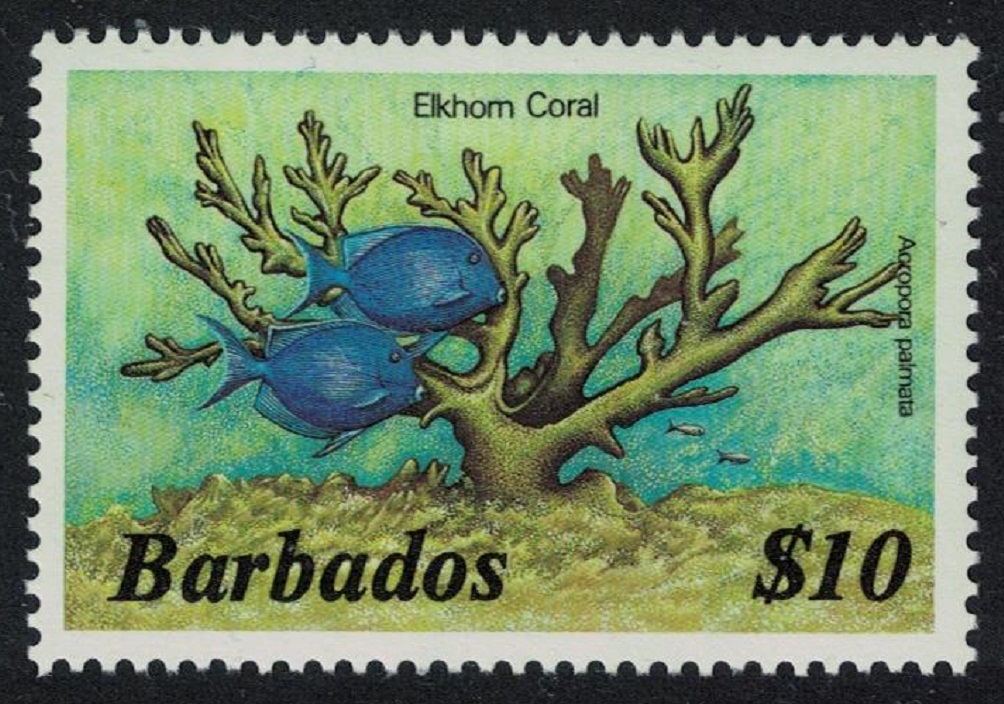 Barbados Elkhorn coral $10 Without Imprint MNH SG#809A