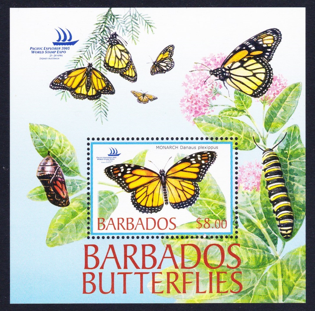 Barbados Butterflies MS 2005 MNH SG#MS1265 Sc#1077