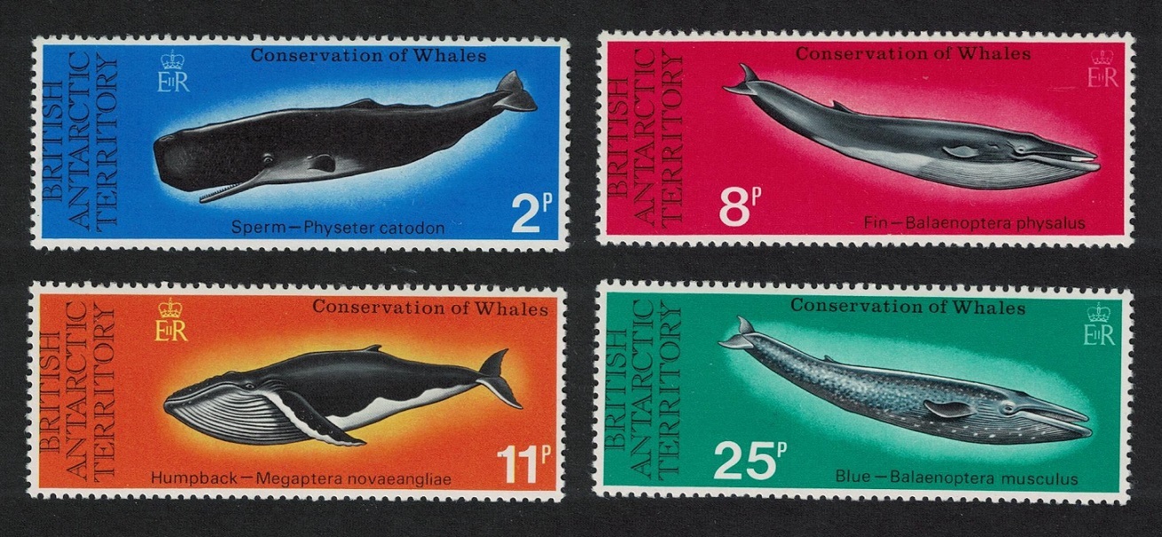 British Antarctic Territory Whale Conservation 4v 1977 MNH SG#79-82