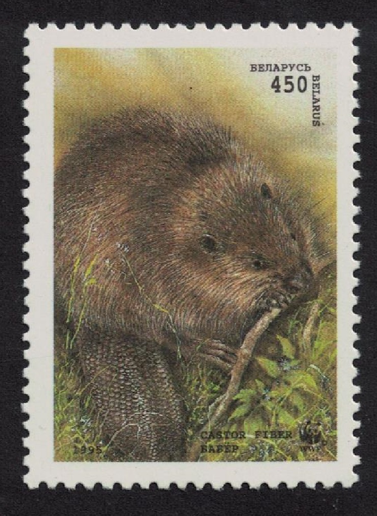 Belarus WWF Beaver gnawing branch 450r 1995 MNH SG#120 MI#97 Sc#118