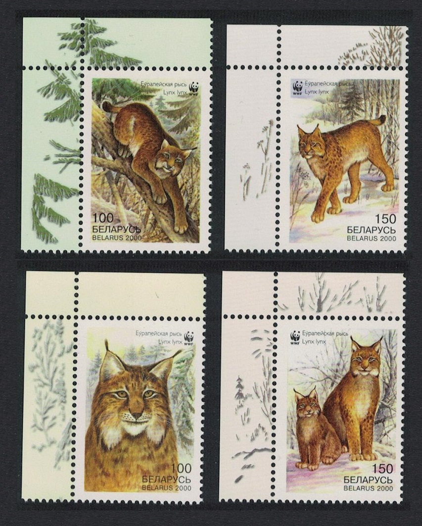 Belarus WWF Eurasian Lynx 4v Corners 2000 MNH SG#406-409 MI#373-376 Sc#354-357