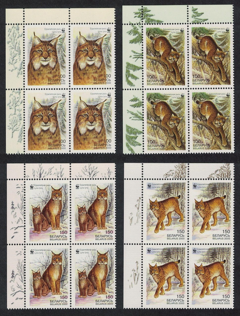 Belarus WWF Eurasian Lynx 4v Corner Blocks of 4 2000 MNH SG#406-409 MI#373-376 Sc#354-357