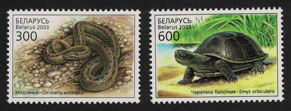 Belarus Turtle Snake Reptiles 2v 2003 MNH SG#538-539 MI#481-482 Sc#463a