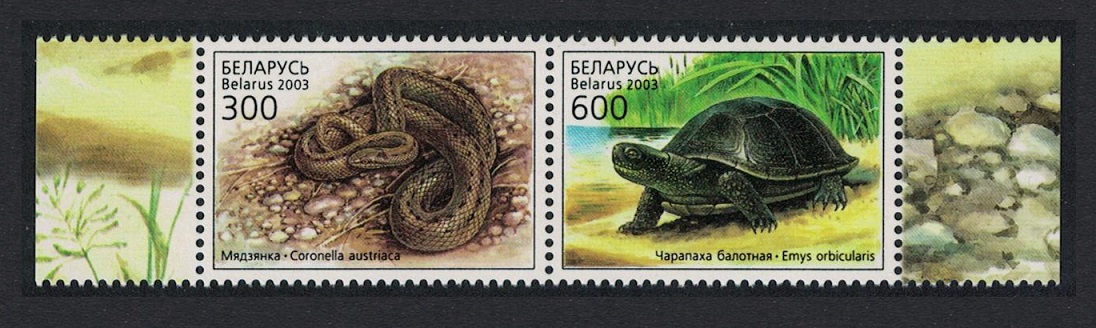 Belarus Turtle Snake Reptiles pair T1 2003 MNH SG#538-539 MI#481-482 Sc#463a