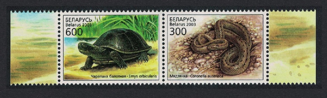 Belarus Turtle Snake Reptiles pair T2 2003 MNH SG#538-539 Sc#463a