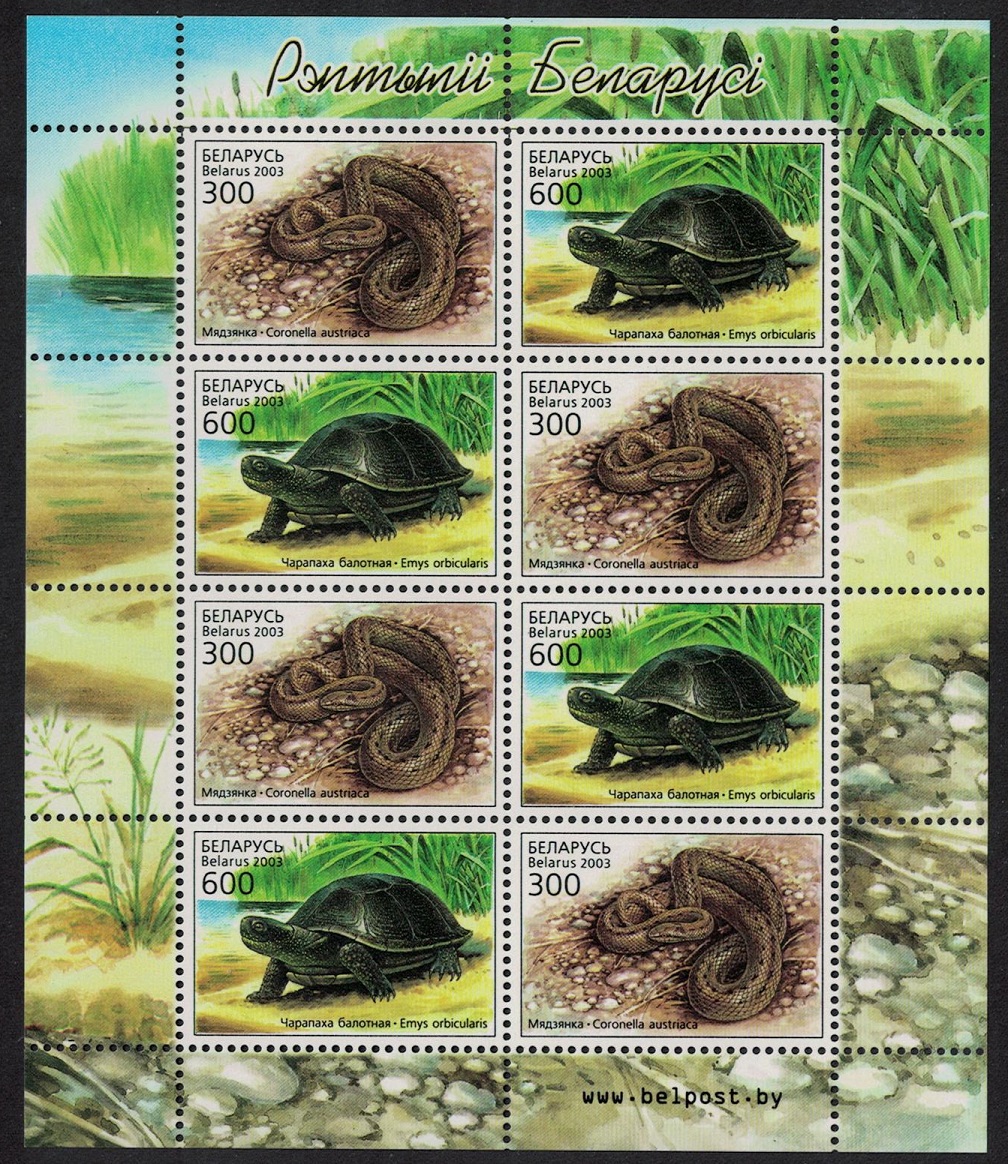 Belarus Turtle Snake Reptiles Sheetlet of 4 pairs 2003 MNH SG#538-539 MI#481-482KB Sc#463a