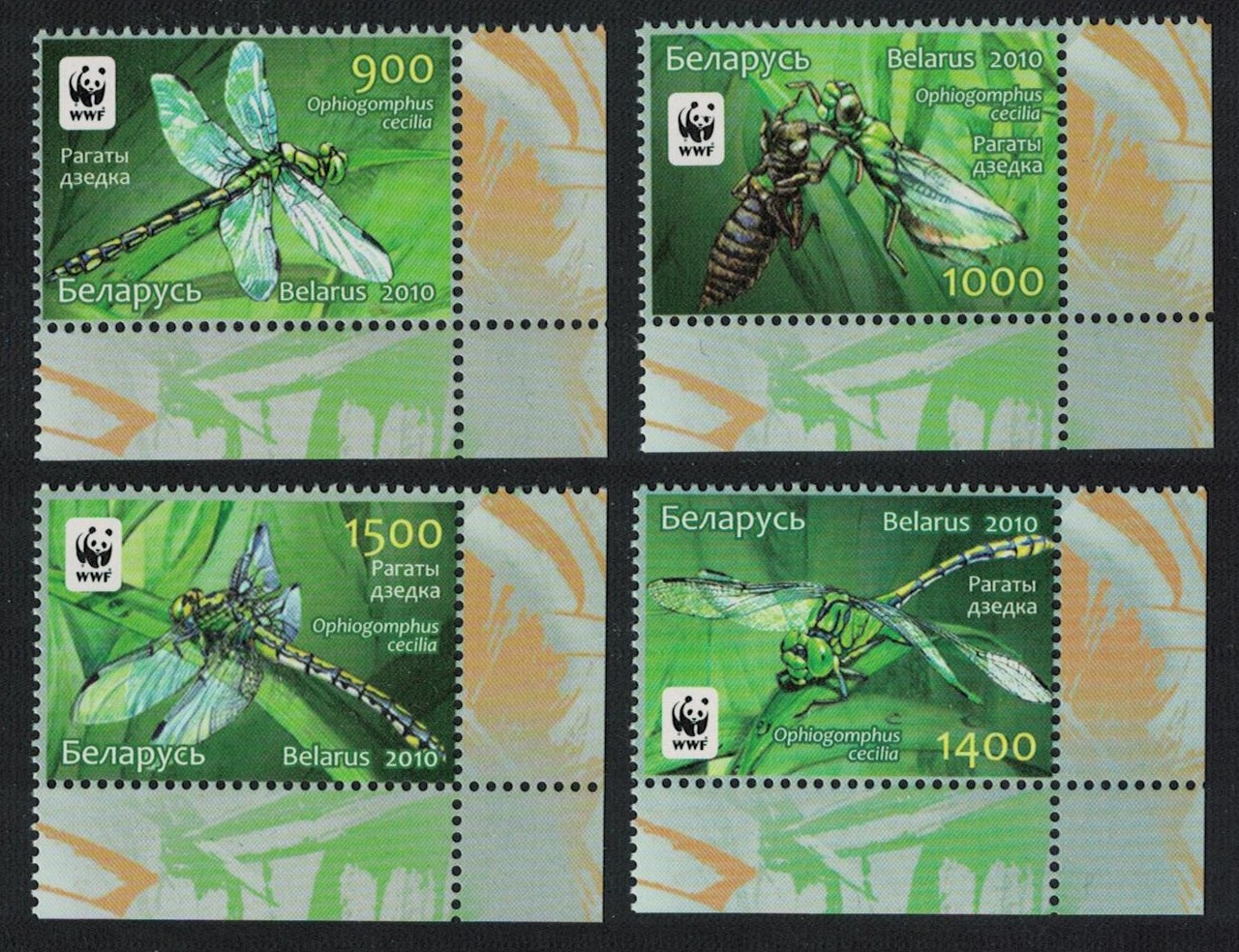 Belarus WWF Dragonfly Green Snaketail 4v Corners 2010 MNH SG#824-827 MI#824-827 Sc#737-740