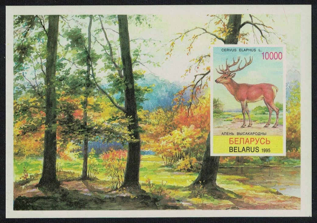 Belarus Red Deer MS 1995 MNH SG#MS131 MI#Block 5