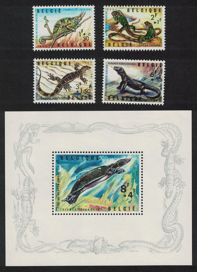 Belgium Soft-shelled Turtle Reptiles of Antwerp Zoo 4v+MS 1965 MNH SG#1943-MS1947 MI#1401-1404+Block 33