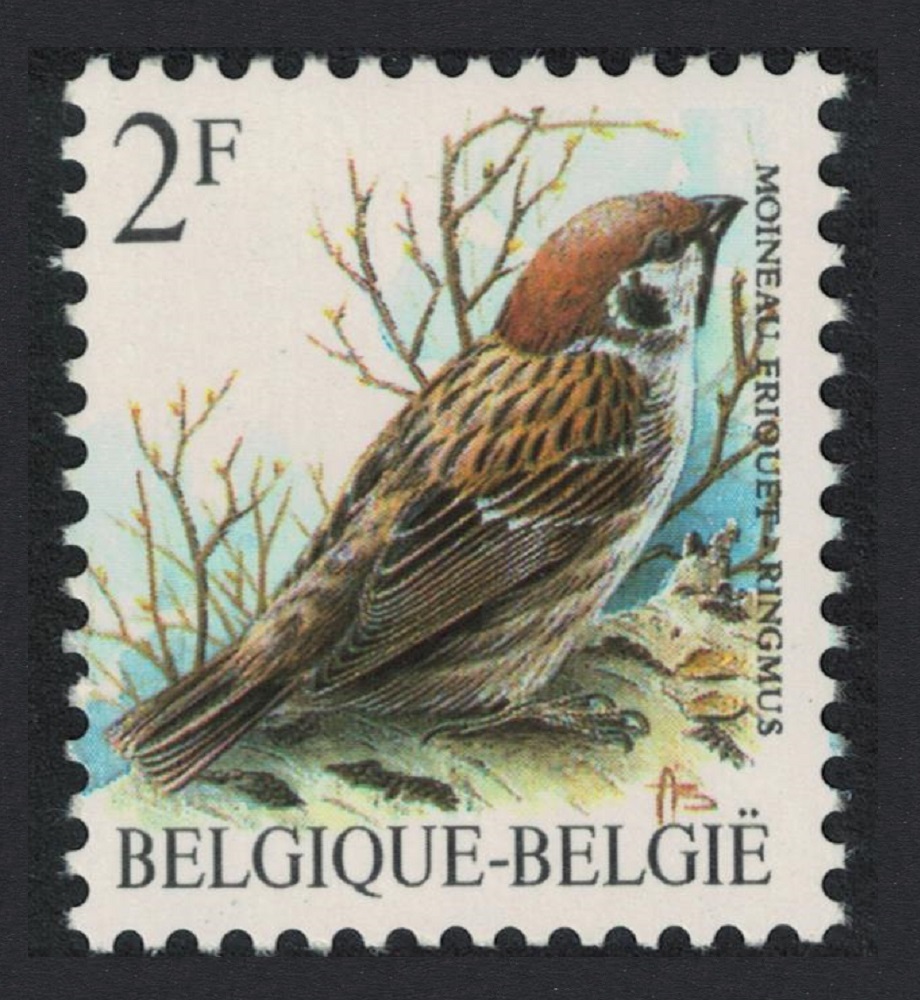 Belgium Eurasian Tree Sparrow Bird Buzin &#39;Moineau friquet&#39; 2f 1989 MNH SG#2846 MI#2399x Sc#1218