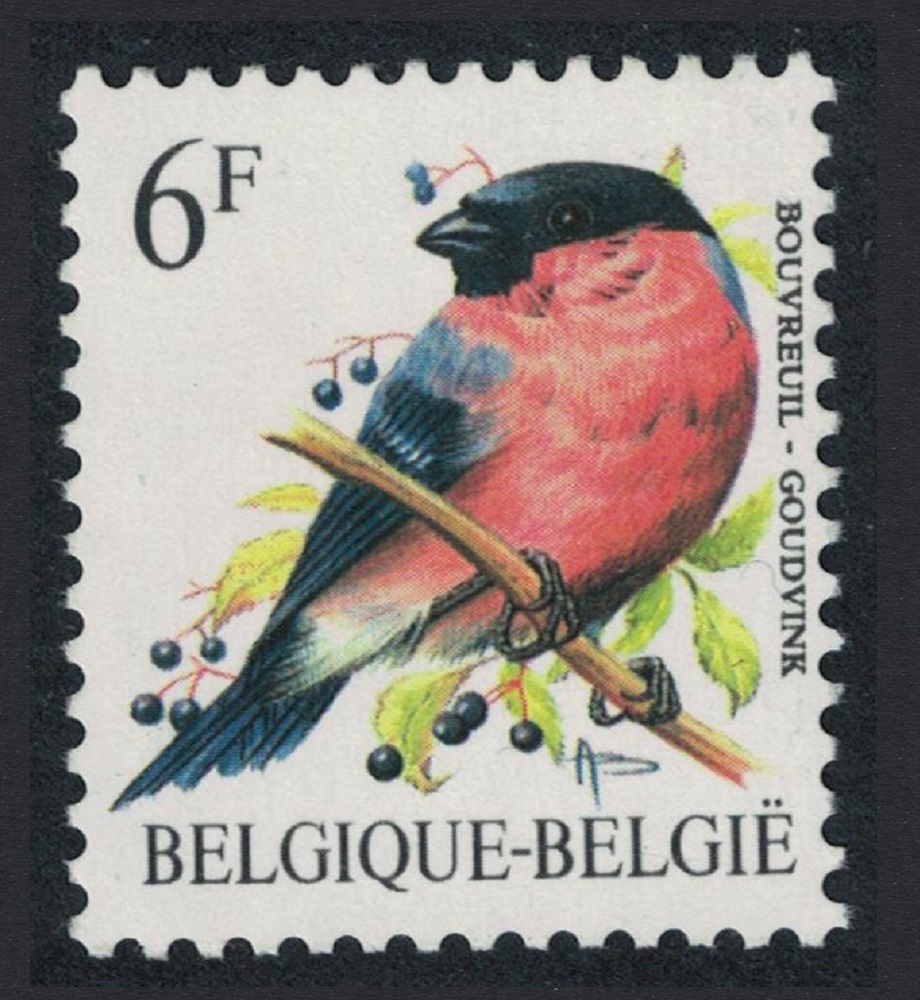 Belgium Northern Bullfinch Bird Buzin &#39;Bouvreuil&#39; 6f 1988 MNH SG#2850 MI#2347x Sc#1225