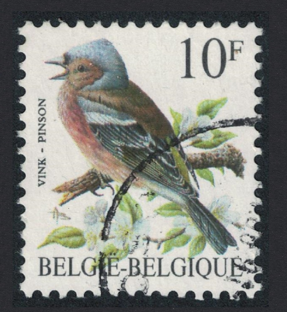 Belgium Chaffinch Bird Buzin &#39;Pinson&#39; 10f 1990 Canc SG#2854 MI#2404 Sc#1230