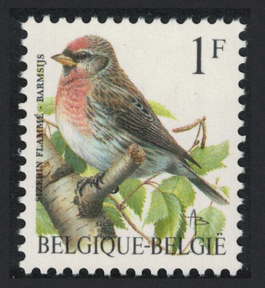 Belgium Redpoll Bird &#39;Sizerin Flamme&#39; 1Fr Fluor paper 1995 MNH SG#3074 MI#2509w Sc#1432