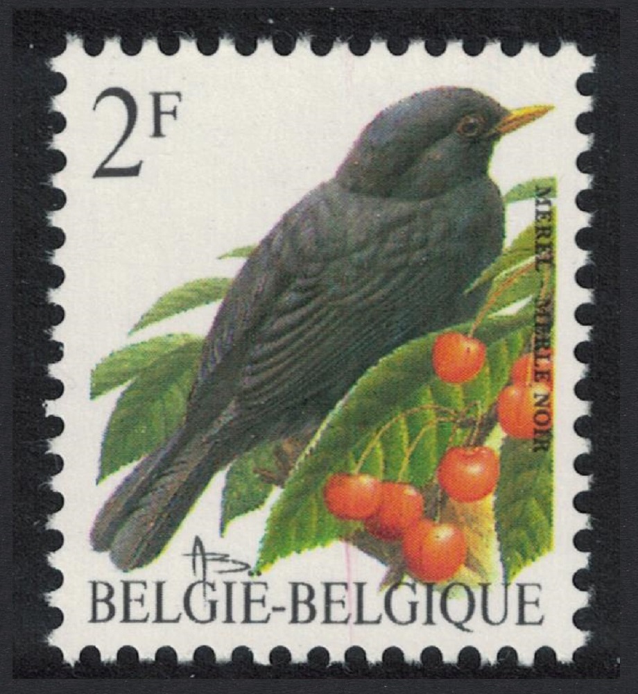 Belgium Blackbird Bird Buzin &#39;Merle Noir&#39; 2f Normal paper 1992 MNH SG#3075 MI#2510x Sc#1433