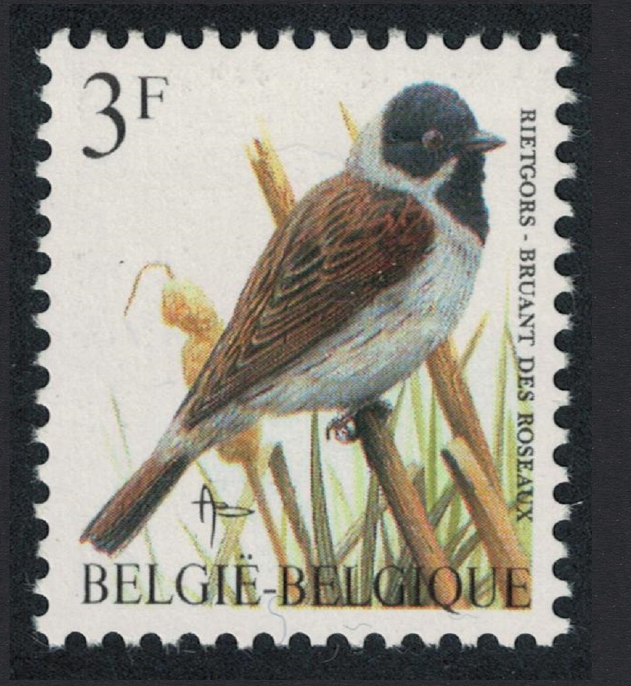 Belgium Reed Bunting Bird Buzin &#39;Bruant des Roseaux&#39; 3f Normal paper 1991 MNH SG#3076 MI#2477x Sc#1220