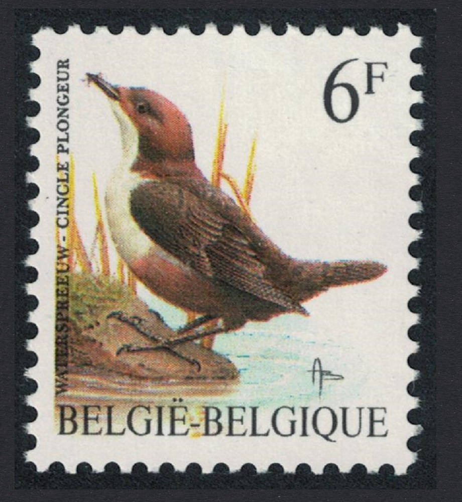 Belgium White-throated dipper Bird Buzin &#39;Cincle Plongeur&#39; 6f 1992 MNH SG#3080 MI#2511x Sc#1440