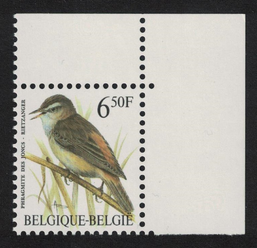 Belgium Sedge-warbler Bird Buzin &#39;Phragmite des Jones&#39; 6f.50 Corner 1994 MNH SG#3081 MI#2629x Sc#1441