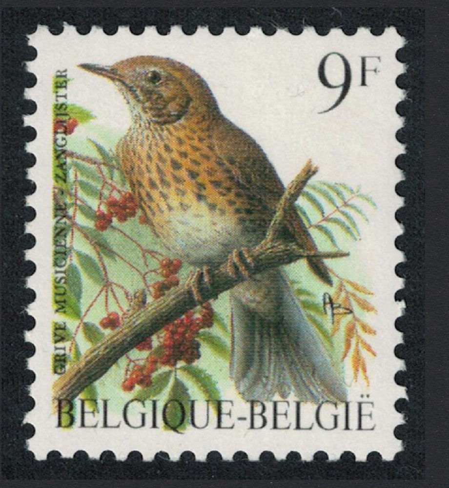 Belgium Song thrush Bird Buzin &#39;Grive Musicienne&#39; 9f 1991 MNH SG#3084 MI#2478x Sc#1229