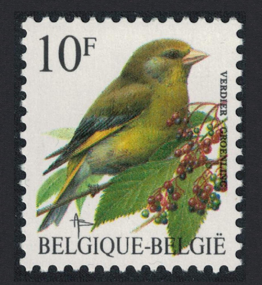 Belgium Western greenfinch Bird Buzin &#39;Verdier&#39; 10f 1992 MNH SG#3085 MI#2513x Sc#1444